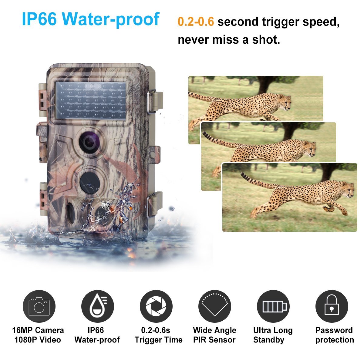 BEST TRAIL CAMERA 2019 [BEST SELLERS OF SEPTEMBER]