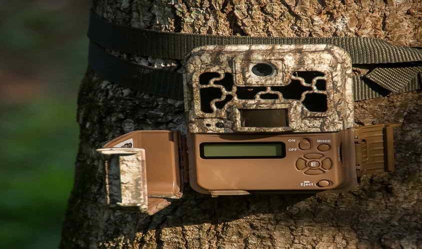 best-trail-camera-under-100