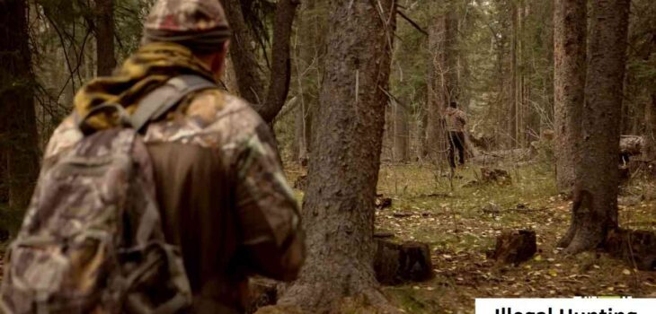 Illegal Hunting: One of The Dreading Crimes Against Natural ECO System