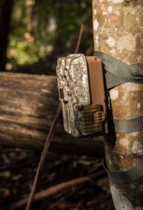 Best trail camera