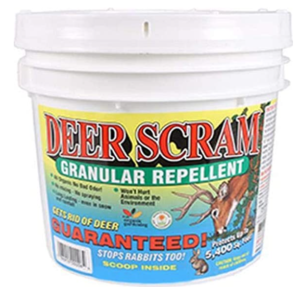 best deer attractant